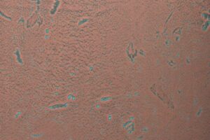 Homapal Metal Surface